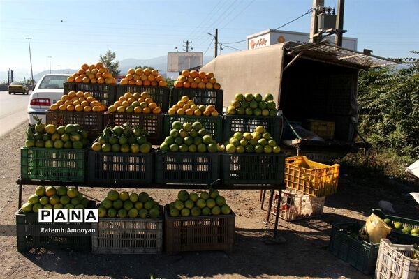 پاییز مازندران