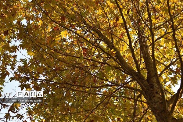 پاییز مازندران