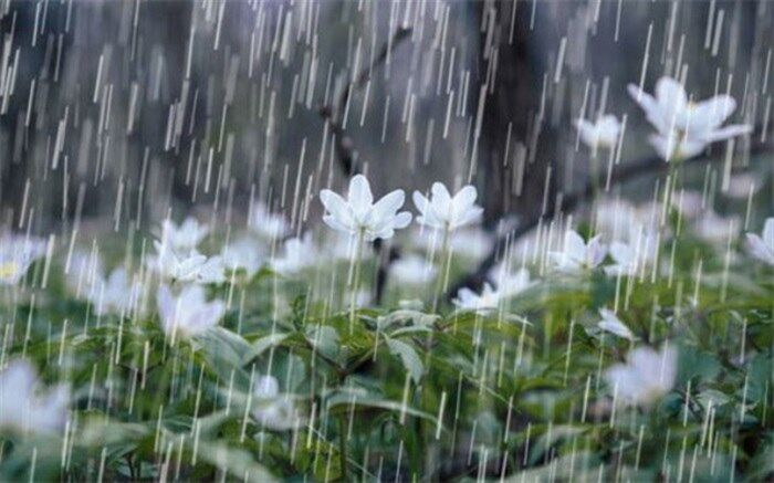 پیش‌بینی بارش فراگیر برای آخر هفته خوزستان