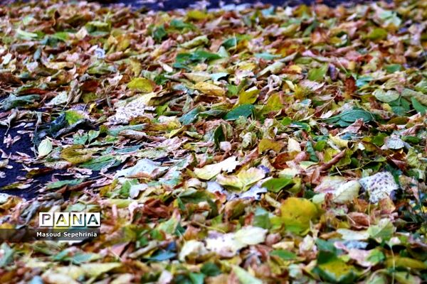 شروع فصل پاییز در تبریز