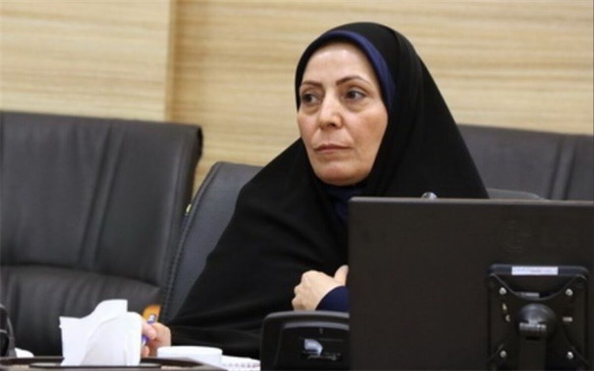 دفاتر تسهیل گری و توسعه محلی در مناطق حاشیه نشین شهر تاسیس می شود