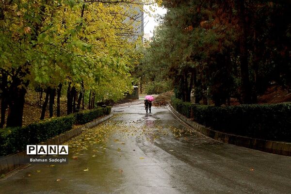 بارش باران پاییزی در تهران