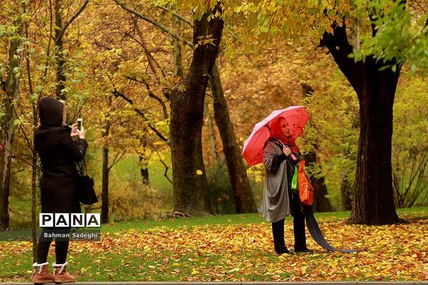 بارش باران پاییزی در تهران