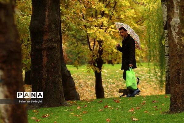 بارش باران پاییزی در تهران
