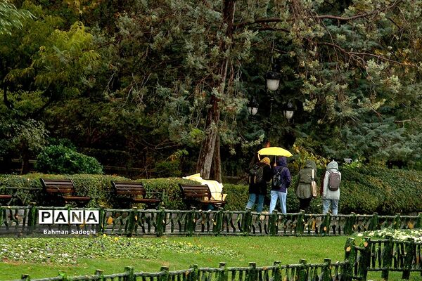 بارش باران پاییزی در تهران
