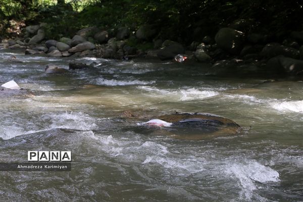 سرطان تخریب طیبعت