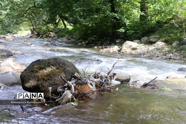 سرطان تخریب طیبعت