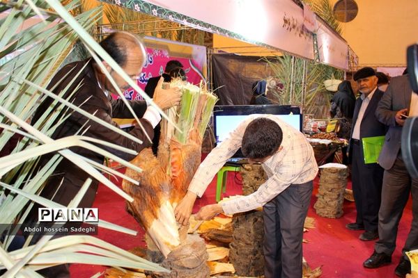 جشنواره و نمایشگاه بین المللی خرما و صنایع وابسته در بوشهر