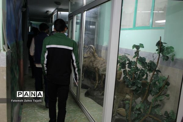 بازدید دانشجویان دانشگاه فرهنگیان از سازمان دانش‌آموزی استان سمنان