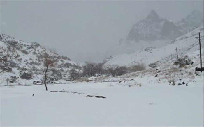 انسداد محورهای هراز و چالوس به دلیل برف و کولاک