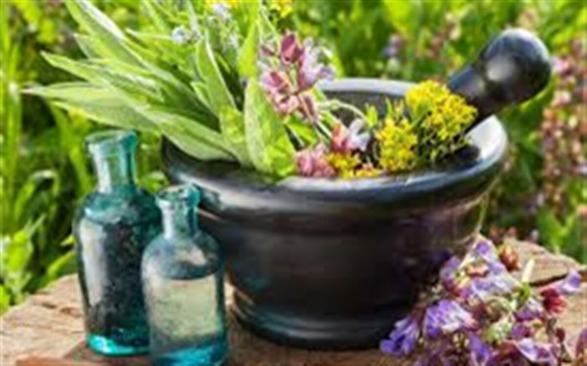 مشارکت 3 هزار دانش آموز در دومین جشنواره و نمایشگاه ملی گیاهان دارویی در اراک