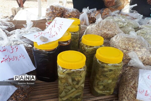 برگزاری نخستین جشنواره انار و خرمای شهر خاوران