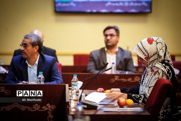 جلسه ستاد ملی ساماندهی امور جوانان