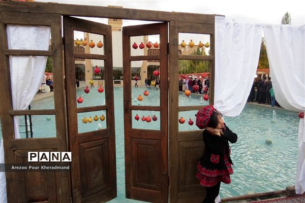 برگزاری جشنواره انار در باغ صدری شهرستان تفت در یزد