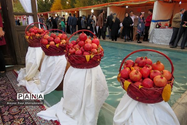 برگزاری جشنواره انار در باغ صدری شهرستان تفت در یزد