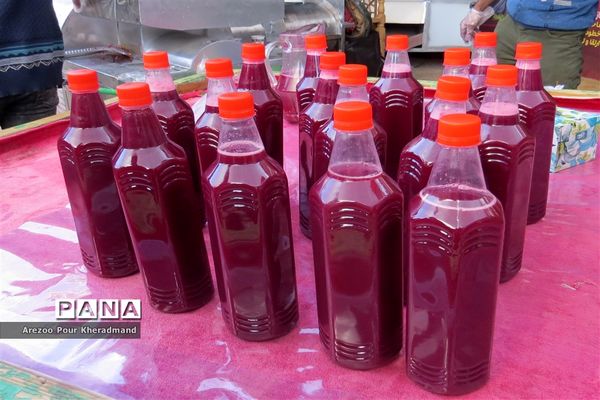 برگزاری جشنواره انار در باغ صدری شهرستان تفت در یزد