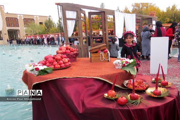 برگزاری جشنواره انار در باغ صدری شهرستان تفت در یزد