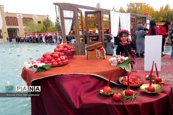 برگزاری جشنواره انار در باغ صدری شهرستان تفت در یزد