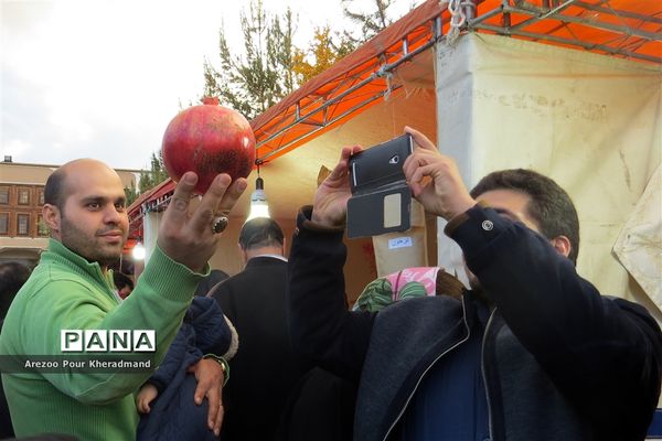 برگزاری جشنواره انار در باغ صدری شهرستان تفت در یزد