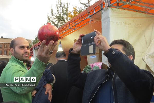 برگزاری جشنواره انار در باغ صدری شهرستان تفت در یزد