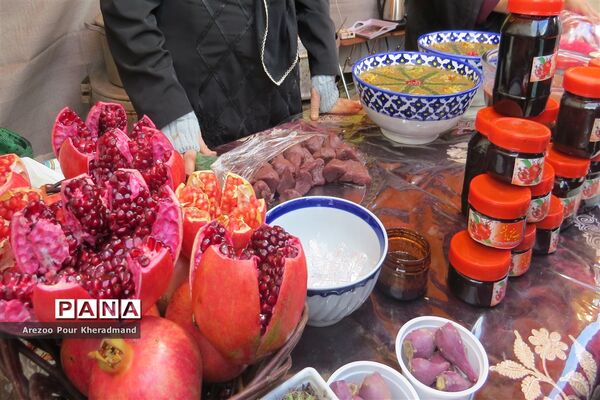 برگزاری جشنواره انار در باغ صدری شهرستان تفت در یزد