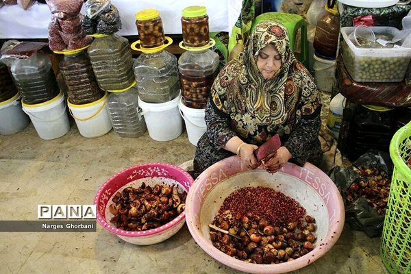 بازار روز میوه و تره‌بار فریدونکنار