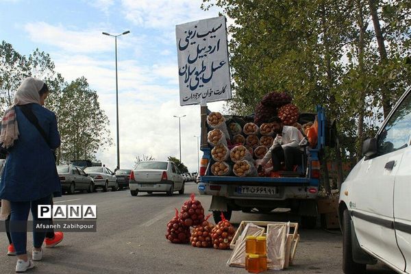 بازار روز میوه و تره‌بار فریدونکنار