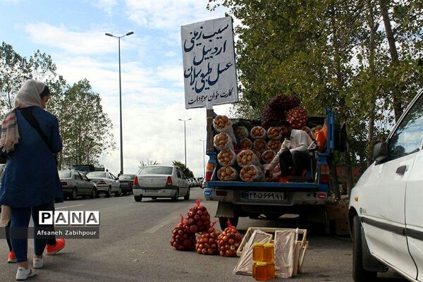 بازار روز میوه و تره‌بار فریدونکنار
