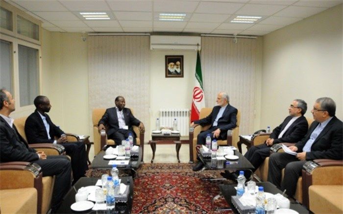 وزیر خارجه پیشین ساحل‌عاج: ایران سردمدار مبارزه با تبعیض نژادی بوده است