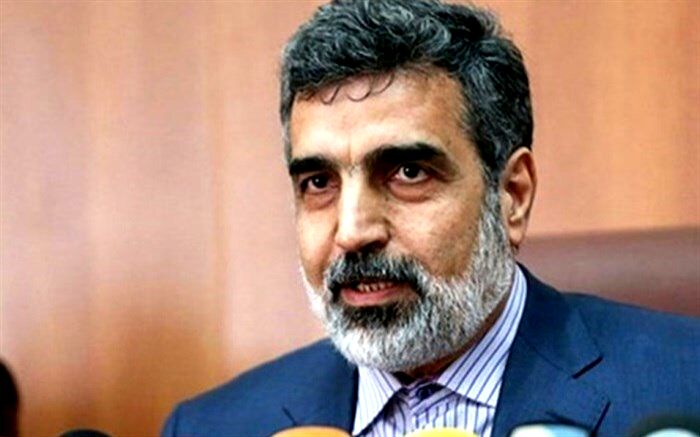 سخنگوی سازمان انرژی اتمی: نقش اروپا برای حفاظت دنیا مقابل بی قانونی آمریکا مهم است