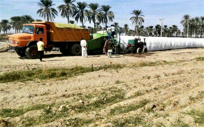 اجرای سیلوی ذرت علوفه ای به روش تونلی