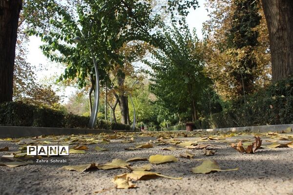 طبیعت پاییزی پارک لاله تهران