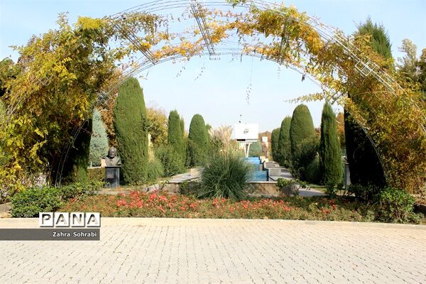 طبیعت پاییزی پارک لاله تهران