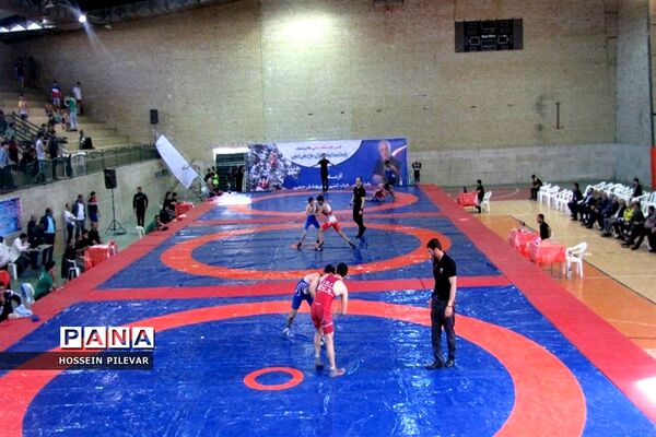 دومین دوره مسابقات کشتی جام پیشکسوت