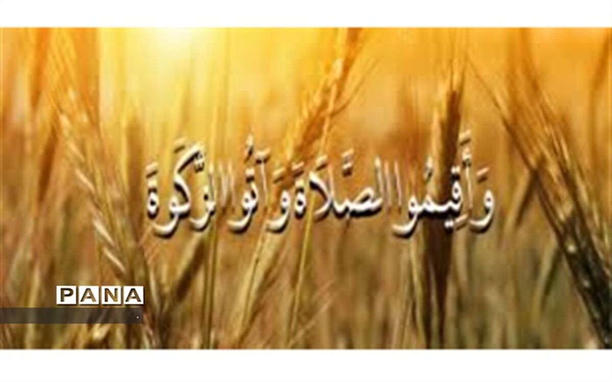 افزایش 32 درصدی پرداخت زکات در خراسان شمالی