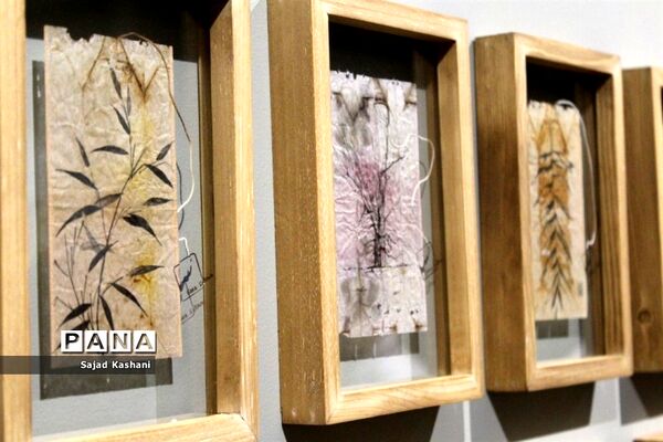 افتتاحیه نمایشگاه انفرادی سپس، جلوه ای دیگر از هنر نقاشی