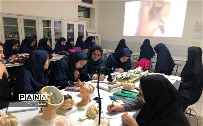 برگزاری کلاس آماده سازی مسابقه ملی مغز(Brain Bee) ویژه مدارس استعدادهای درخشان