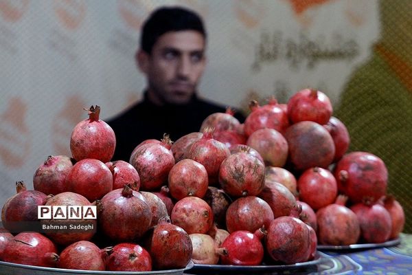 هشتمین جشنواره انار صد دانه یاقوت