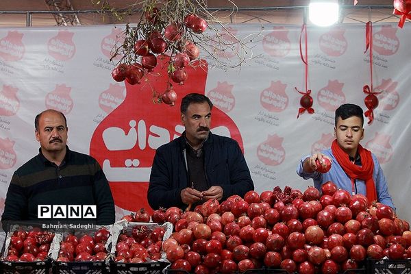 هشتمین جشنواره انار صد دانه یاقوت