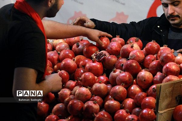 هشتمین جشنواره انار صد دانه یاقوت