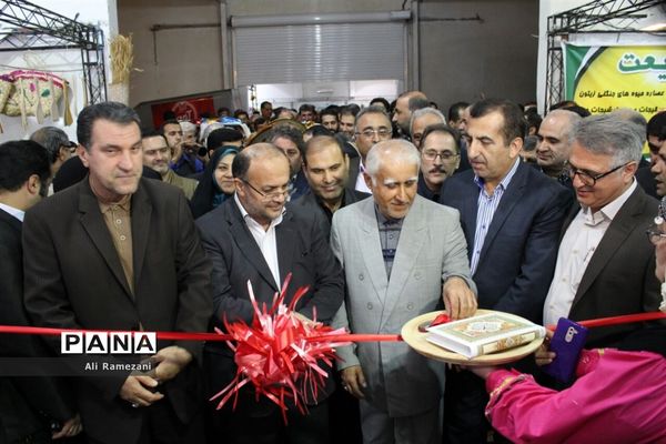 جشنواره ملی مرکبات و اقوام عشایر