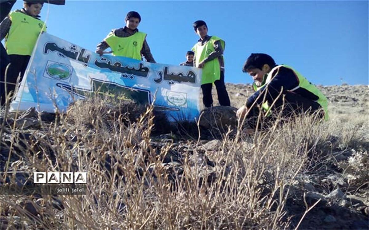 بادام کاری پنج جریب از کوهستان توسط دانش آموزان کاشان