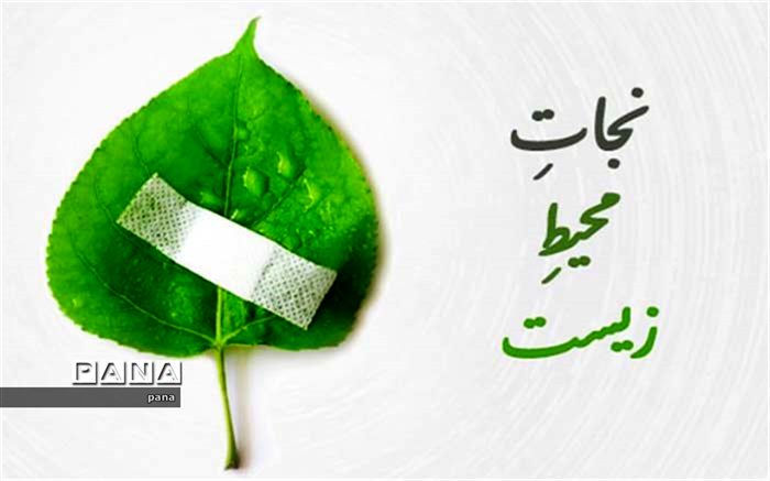 اقدام احترام آمیز شهروندان کاشانی برای حفظ طبیعت