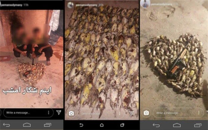 انتشار تصاویر شکار غیرمجاز کار دست شکارچی داد
