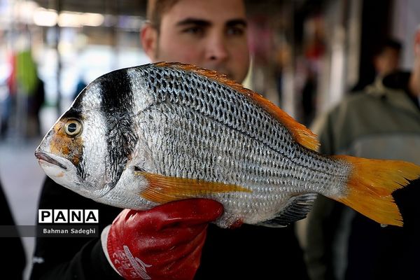 بازار خرید شب یلدا