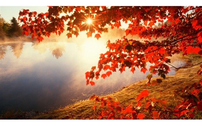هوای تهران سالم است