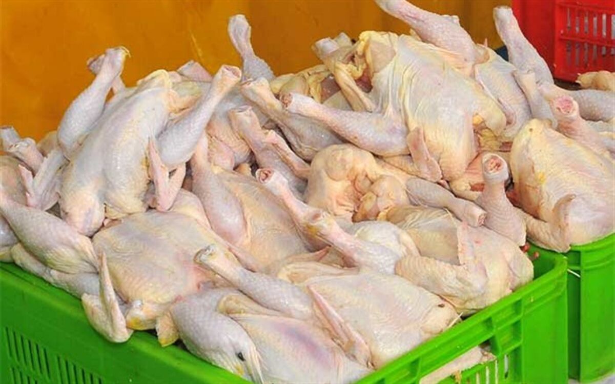 جهش بی‌سابقه نرخ مرغ در بازار