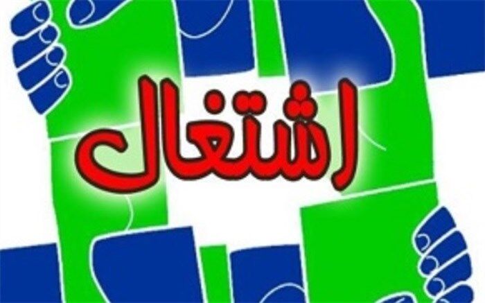 مدیر اجرایی طرح بین المللی ترسیب کربن :افزایش اشتغال با تشکیل ۹۷ صندوق خرد اعتباری