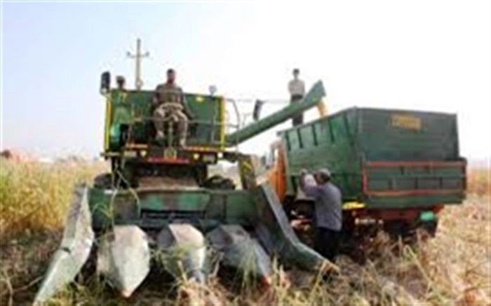 کمباین برداشت ذرت،  عامل مرگ کشاورز دهدشتی  شد