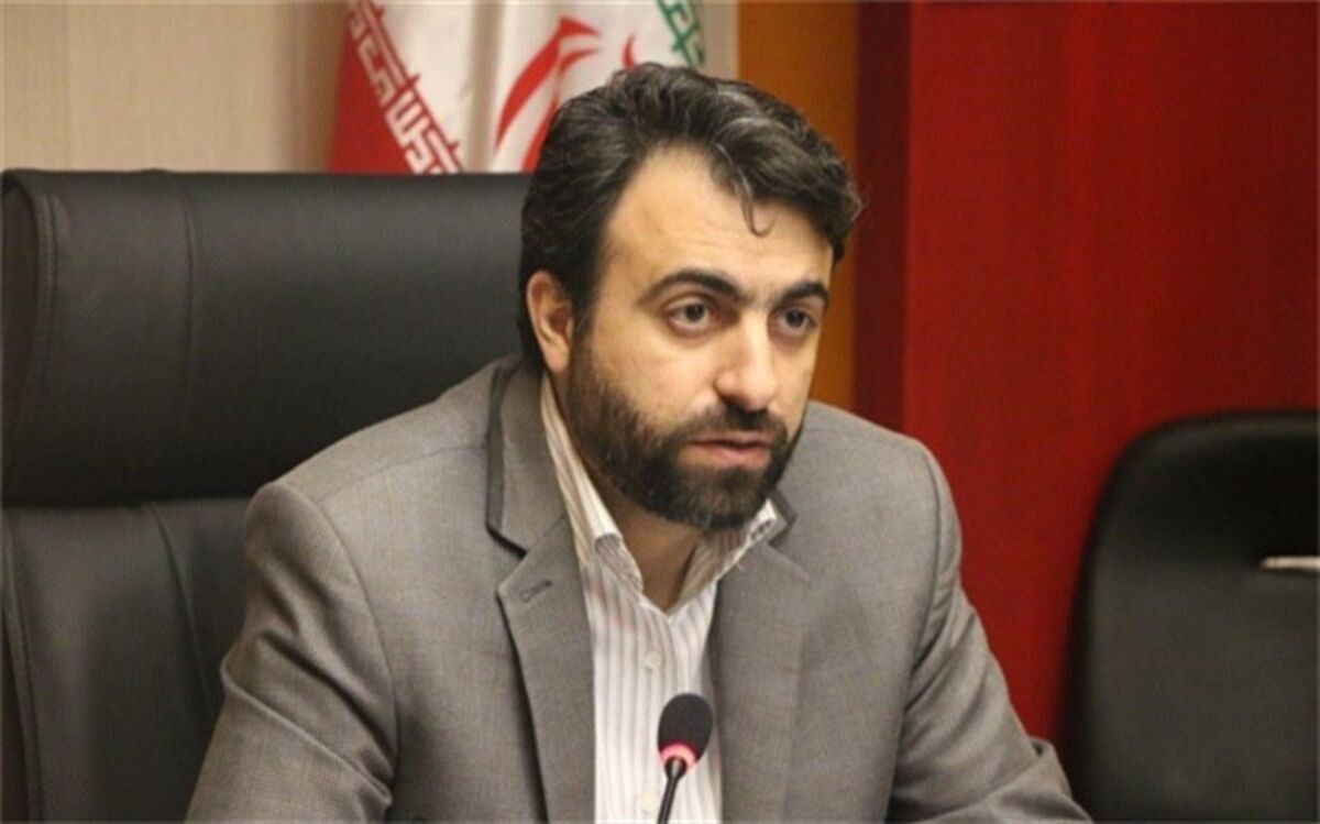 سیدمجتبی‌هاشمی: طرح رابط مشاور با مشارکت 1346 نفر در مدارس ابتدایی شهرستان‌های  تهران پیگیری می شود